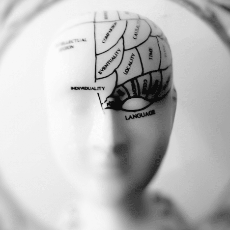 brain-head