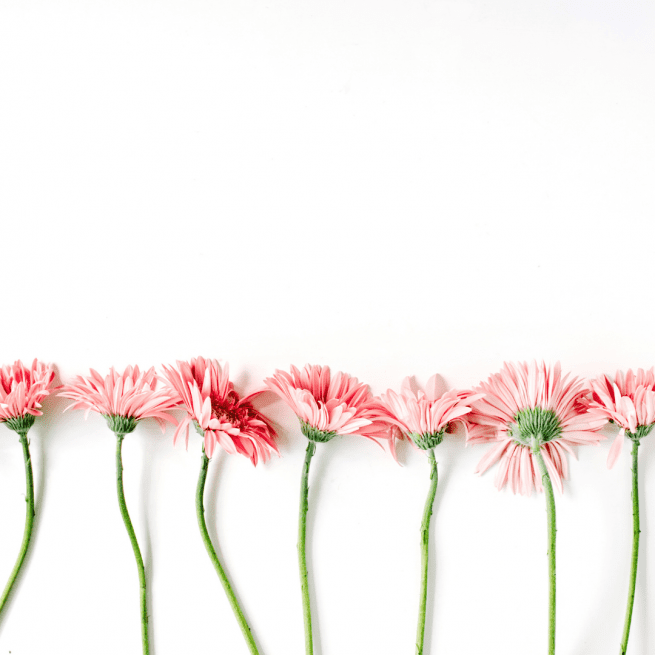 pretty-flowers